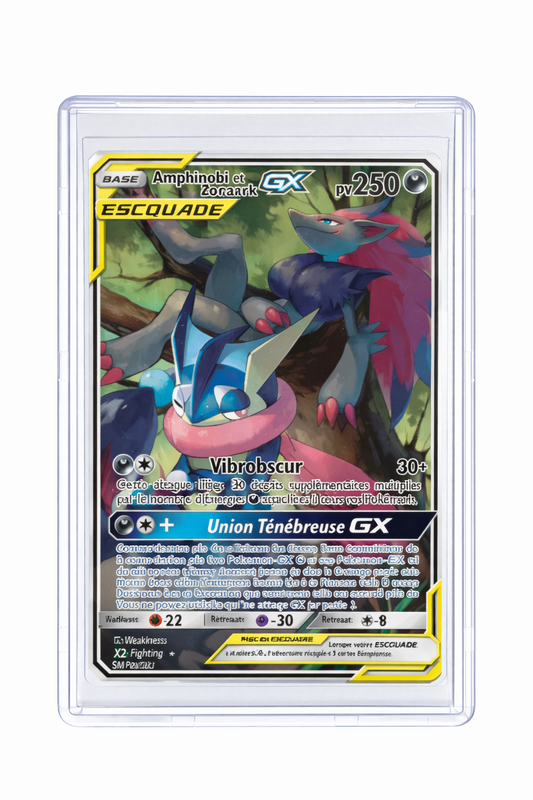 Amphinobi & Zoroark GX
