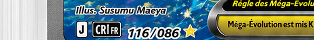 Mega-Amphinobi EX